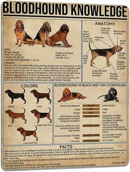 Koer Teadmisi Metallist Tina Märk Bloodhound Anatoomia Chart Plakat Retro Pet Shop Talu Kooli Klubi Kodus Seina Kaunistamiseks 8x12