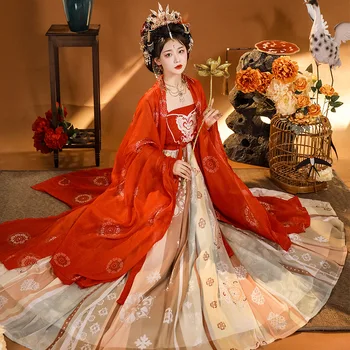 Hanfu naiste Tang Dünastia replica Hiina stiilis tikitud mürobalaaniviljadest seelik vana kostüüm kevad, suvi ja sügis